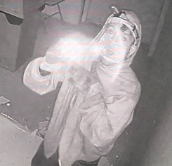 Suspect Pic 3