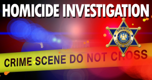 Homicide Investigation Feat