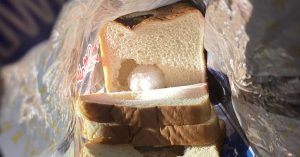 Meth Sandwich Feat
