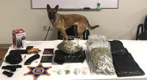 K9 Siren With Seized Items