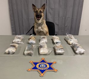 K 9 Siren With Meth Seizure