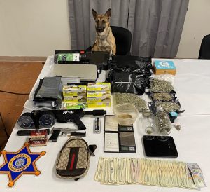 K9 Siren With Seizure
