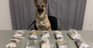 Meth Seizure Feat 02252022